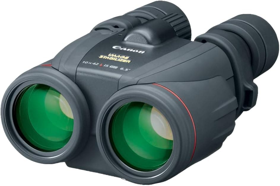 Best Image-Stabilized Binoculars for Steady Views (2026)